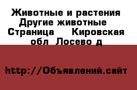 Животные и растения Другие животные - Страница 3 . Кировская обл.,Лосево д.